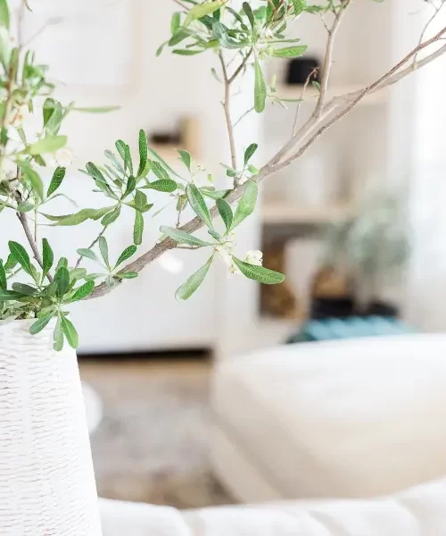 From Side Hustle to CEO: How Women Entrepreneurs Can Scale Their Businesses Successfully